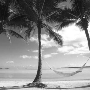 Meet your Posher, Milady